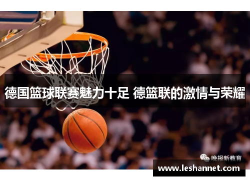 德国篮球联赛魅力十足 德篮联的激情与荣耀 德国篮球联赛魅力十足 德篮联的激情与荣耀