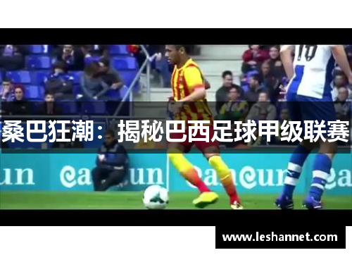 桑巴狂潮:揭秘巴西足球甲级联赛 桑巴狂潮:揭秘巴西足球甲级联赛