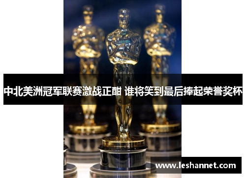 中北美洲冠军联赛激战正酣 谁将笑到最后捧起荣誉奖杯 中北美洲冠军联赛激战正酣 谁将笑到最后捧起荣誉奖杯