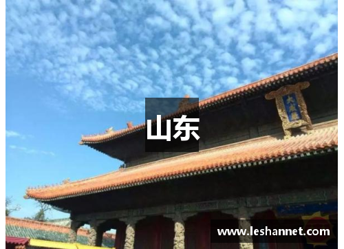 山东 山东
