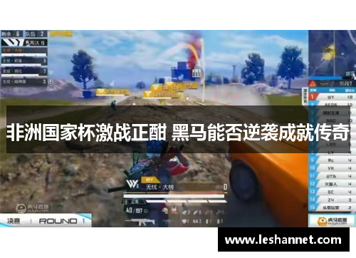 非洲国家杯激战正酣 黑马能否逆袭成就传奇 非洲国家杯激战正酣 黑马能否逆袭成就传奇