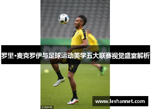 罗里·麦克罗伊与足球运动美学五大联赛视觉盛宴解析 罗里·麦克罗伊与足球运动美学五大联赛视觉盛宴解析